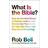 What is the Bible?: How an Ancient Library of Poems, Letters and Stories Can Transform the Way You Think and Feel About Everything (Paperback, 2018)
