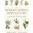 Modern Herbal Dispensatory: A Medicine-Making Guide (Paperback, 2016)