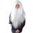 Bristol Wizard Wig Long Beard White