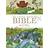 My Little Picture Bible (Childrens Bible) (Hardcover, 2008)