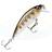 Rapala X Rap Countdown 5cm Mudder