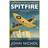 Spitfire (Paperback, 2019)