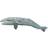 Safari Grey Whale 210402