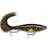 Rapala X-Rap Otus 25cm Artistic Burbot