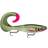 Rapala X-Rap Otus 25cm Olive Green