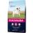 Eukanuba Caring Senior Small Breed 3kg