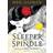 The Sleeper and the Spindle (Paperback, 2015)