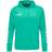 Hummel Promo Poly Hoodie - Green