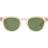 Oliver Peoples Sheldrake Sun OV5036S 158052