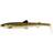 Westin BullTeez Shadtail 24cm Natural Pike