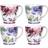 Waterside Jumbo Floral Mug 4pcs