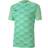 Puma teamFINAL 21 Graphic Jersey Men - Green