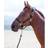 Shires Topaz Nylon Headcollar