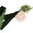 Ginger Ray Botanical Baby Shower Mummy to Be Sash with Foliage with Wooden Tag