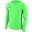 Nike Park Goalie III Goalkeeper Jersey Men - Green Strike/Black