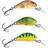 Salmo Hornet 50 Mm 7g One Size Gold Fluo Perch