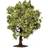 Hornby Apple Tree (with Fruit) R7213