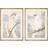 Dkd Home Decor Painting Parrot (50 x 2 x 70 cm) (2 pcs) Framed Art