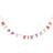 Talking Tables Decoration Party Celebration Rose 3 metres (10ft) Pretty Pink Happy Birthday Bunting Banner Garland, ROSEGARLAND