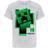 Minecraft Boy's Creeper Inside T-shirt - Grey