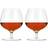 Viski Wingback Drink Glass 50.275cl 2pcs