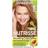 Garnier Nutrisse Nourishing Color Creme #73 Dark Golden Blonde