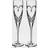 Waterford Love True Love Champagne Glass 20.9cl 2pcs