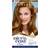 Clairol Nice'n Easy Hair Dye 6.5G Lightest Golden Brown