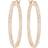 Swarovski Sommerset Hoop Earrings - Rose Gold/Transparent