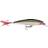 Rapala X-Rap Jerkbait XR08 7g Silver