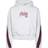 Jordan Paris Saint Germain girls' sweatshirt, Grey