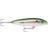 Rapala Saltwater Skitter Walk 18g Pilchard