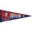 WinCraft Montreal Canadiens Jonathan Drouin Player Premium Pennant