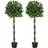 OutSunny Artificial Bay Laurel Trees 120cm Set 2