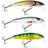 Salmo Minnow Crank Bait Floating 5cm