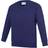 AWDis Kid's Academy Crew Neck Raglan School Sweatshirt 2-pack - Purple