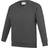 AWDis Kid's Academy Crew Neck Raglan School Sweatshirt 2-pack - Charcoal