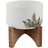 Flora Bunda Etched Leaf Ceramic Pot with Stand ∅13.665cm