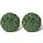 vidaXL Boxwood Decorative Item 2pcs