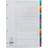 Index 1-20 A4 White with Multicoloured Mylar Tabs 01901/CS19