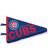 Pegasus Sports LLC Chicago Cubs Team Pennant Pillow