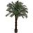 Nearly Natural Cycas Artificial Tree 72"