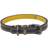 Joules Clothing Leather Dog Collar