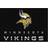 Imperial Minnesota Vikings Chrome Rug