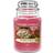 Yankee Candle Peppermint Pinwheels Scented Candle 623g