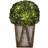 Teamson Home Boxwood Floor Artificial Plant