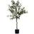 Decorative Plant Olive tree Green Plastic (85 x 150 x 85 cm) Decorative Item