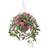 Homescapes White, Orange and Pink Impatiens Hanging Basket, 85 cm Basket