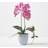 Homescapes Pink Orchid 54 cm Phalaenopsis in Ceramic Pot Vase
