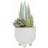 Premier Housewares Fiori Mixed Succulents In White Pot Decorative Item